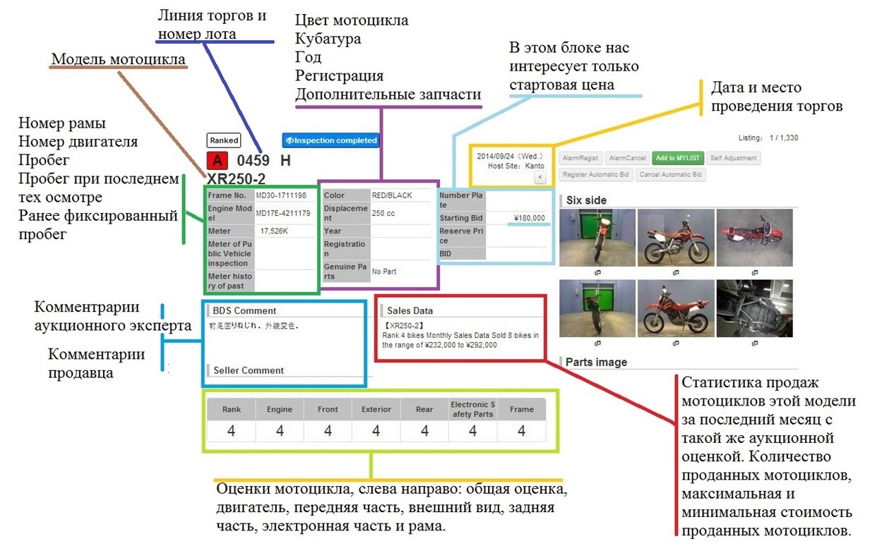 Пример перевода аукционного листа BDS